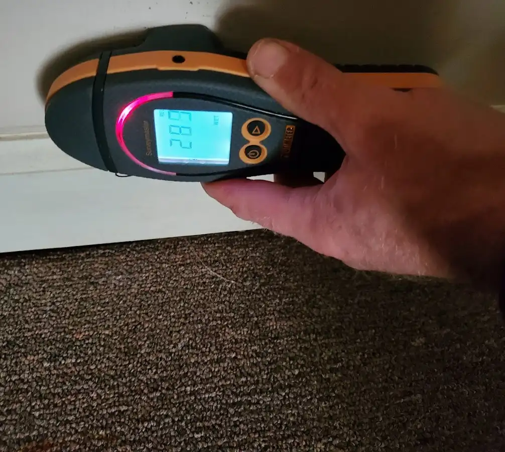Moisture detection at baseboard during Burst Pipe Cleanup in Warrenville